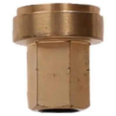 Brass nuts 