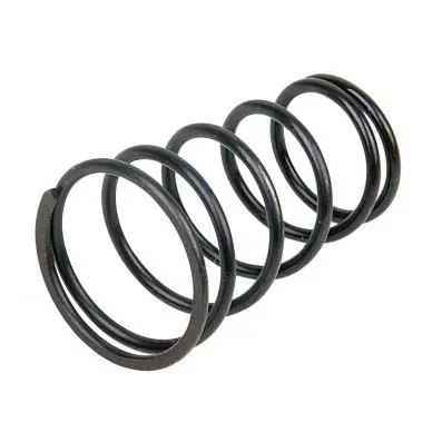 Front cushion spring 