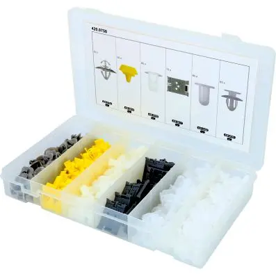 Trim Clips Assortment-Renault, 300 pcs 