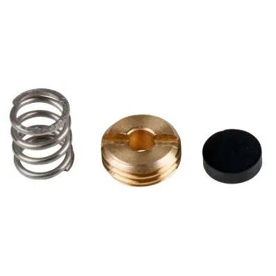 Seal and spring for safety valve 