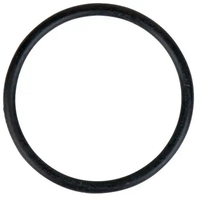 O-ring 