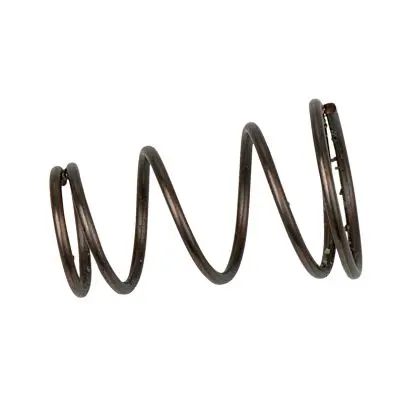 Valve spring 