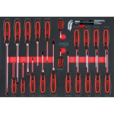 Screwdriver set, 29 pcs, 1/1 system inse rt 