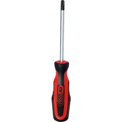 ERGOTORQUEplus screwdriver for TORQ-Set® screws, 10mm 