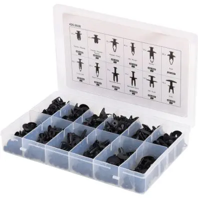 Trim Clips Assortment-Screw Rivets, 240 pcs 