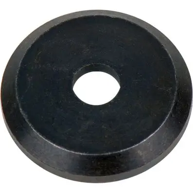 Centering ring for discs 