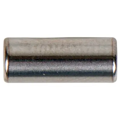 Pawl pin 