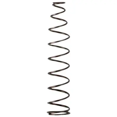 Valve spring 