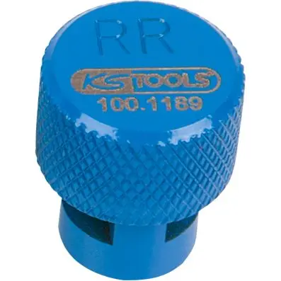 TPMS tyre bleeder, blue, right rear 