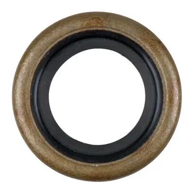Oil seal 