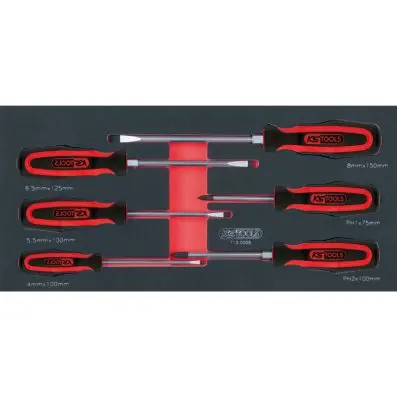SCS ERGOTORQUEplus screwdriver set, 6 pc s, 1/3 system insert 