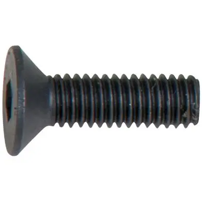 Flat screw 