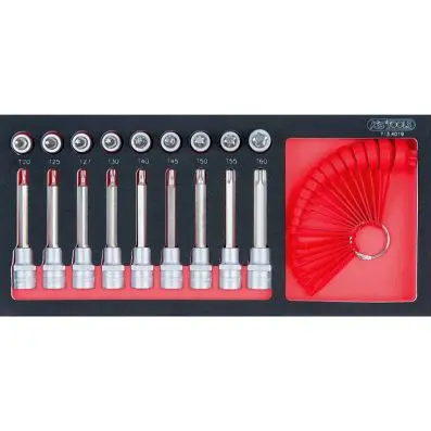 SCS Bit socket set Torx, 19 pcs, 1/3 sys tem insert 