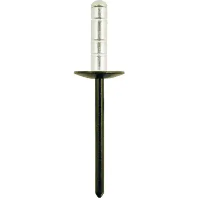 Star rivet 5/32 standard flange universa l, pack of 50 