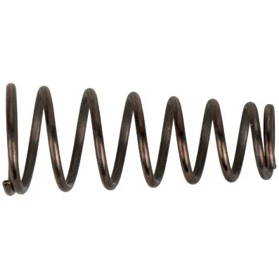 Valve spring 
