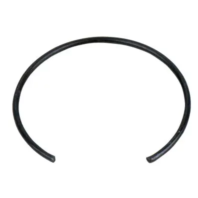 Retaining ring 