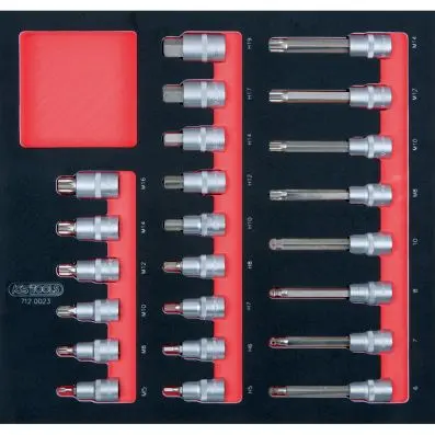 SCS 1/2" Bit socket set, 23 pcs, 2/3 sys tem insert 
