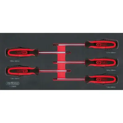 SCS ERGOTORQUEplus screwdriver set, Torx tamperproof, 5 pcs, 1/3 system insert 