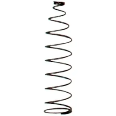 Valve spring 