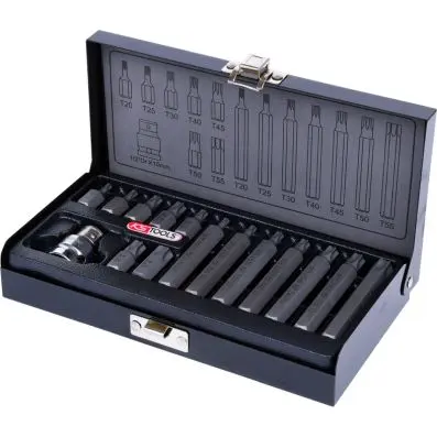 10mm Bit set, 15 pcs, Torx 