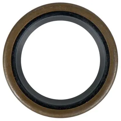 Oil seal 