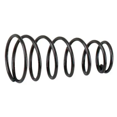 Valve spring 