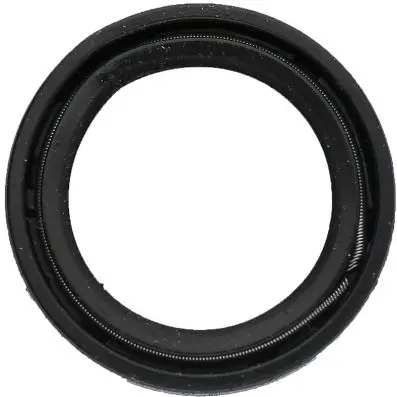 Oil seal 