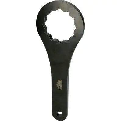 Twelve-edge special wrench for Iveco 