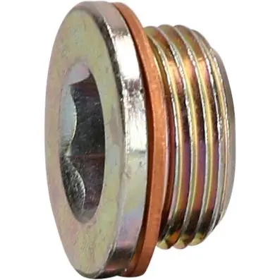 Oil drainage screw M22 x 1.5 x 13 mm for Iveco 