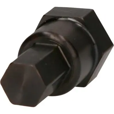 Bit for floating bearing screw 