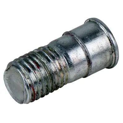 Bolt for strut 