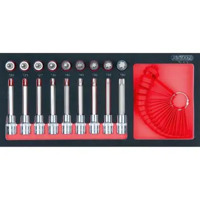 SCS CHROMEplus Bit socket set Torx, 1/2" , 19 pcs, 1/3 system insert 
