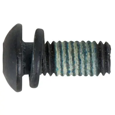 Screw for protector 