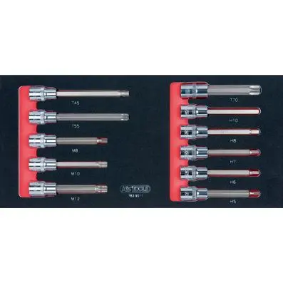 SCS CHROMEplus 1/2'' Bit socket set, 11 pcs, 1/3 system insert 