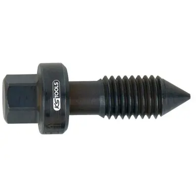 Locking screw 1 