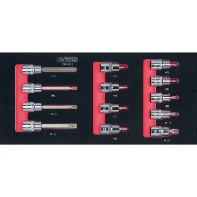 SCS CHROMEplus 1/2'' Bit socket set, 13 pcs, 1/3 system insert 