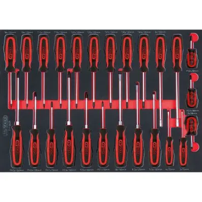 SCS ERGOTORQUEplus screwdriver set, 25 p cs, 1/1 system insert 