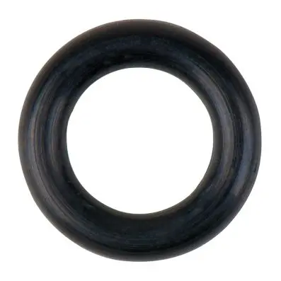 O-Ring for input button 