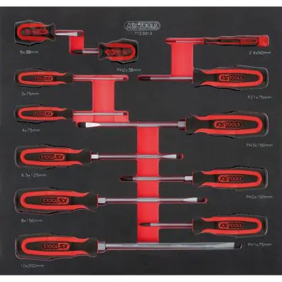 SCS ERGOTORQUEplus screwdriver set, 12 p cs, 2/3 system insert 