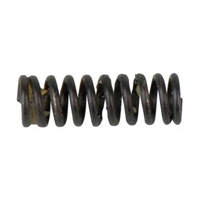 Valve spring 