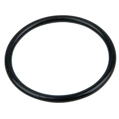 O-Ring (AS125) 