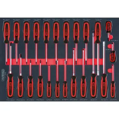 SCS ERGOTORQUEplus screwdriver set, 24 p cs, 1/1 system insert 