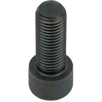 Screw M16 x 40 mm 