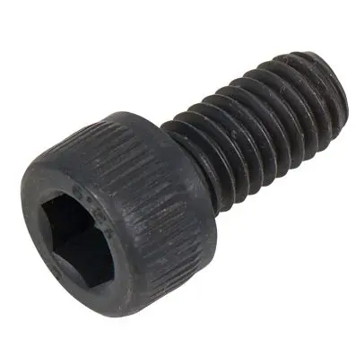 Screw for discs 