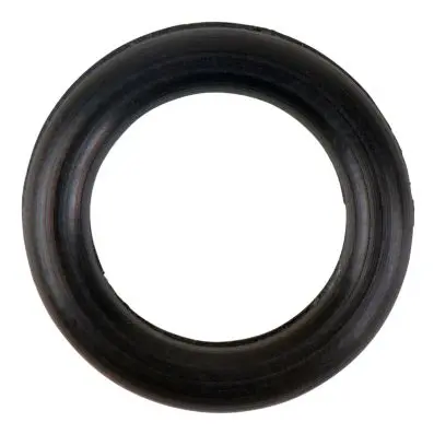 O-Ring for control valve 