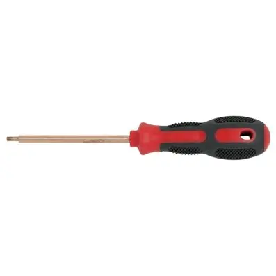 BERYLLIUMplus Screwdriver TORX T9 
