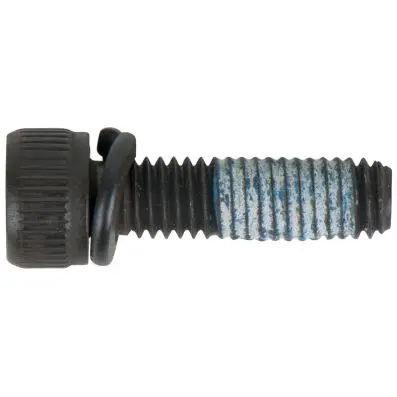 Bolt 