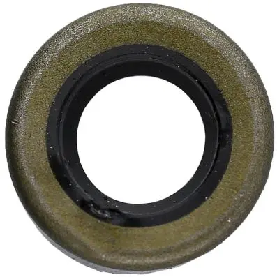 Oil seal 