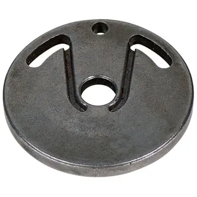 Rear rotor plate 