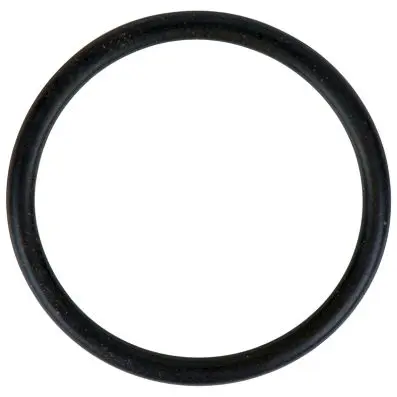 O-ring 